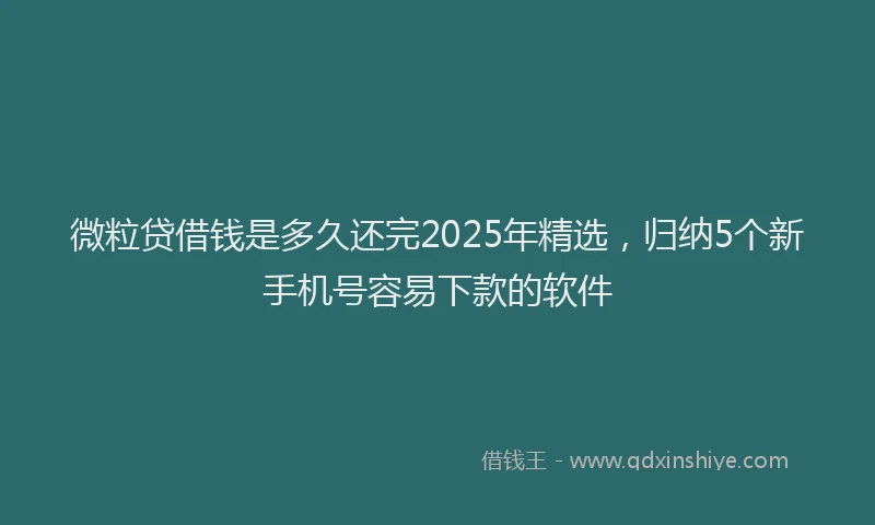 微粒贷借钱是多久还完2025年精选，归纳5个新手机号容易下款的软件
