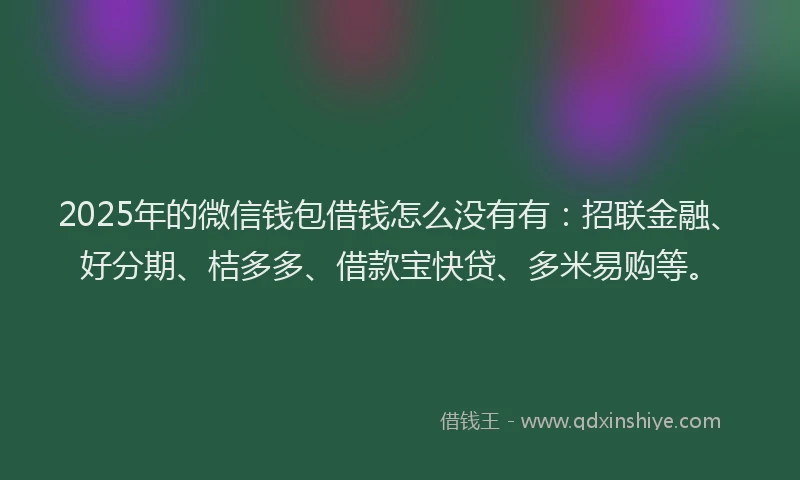2025年的微信钱包借钱怎么没有有：招联金融、好分期、桔多多、借款宝快贷、多米易购等。