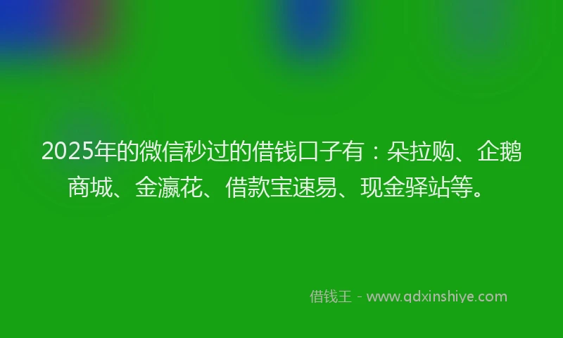 2025年的微信秒过的借钱口子有：朵拉购、企鹅商城、金瀛花、借款宝速易、现金驿站等。