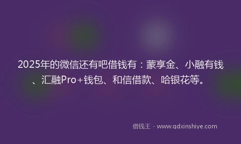 2025年的微信还有吧借钱有：蒙享金、小融有钱、汇融Pro+钱包、和信借款、哈银花等。