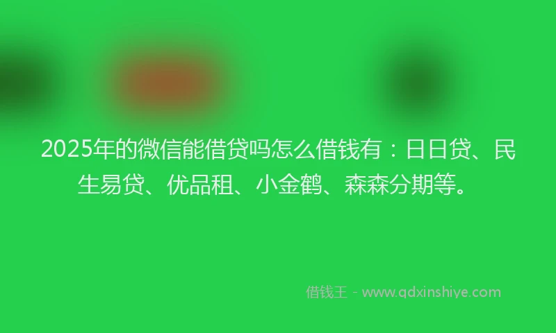 2025年的微信能借贷吗怎么借钱有：日日贷、民生易贷、优品租、小金鹤、森森分期等。