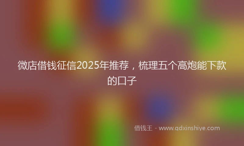 微店借钱征信2025年推荐，梳理五个高炮能下款的口子