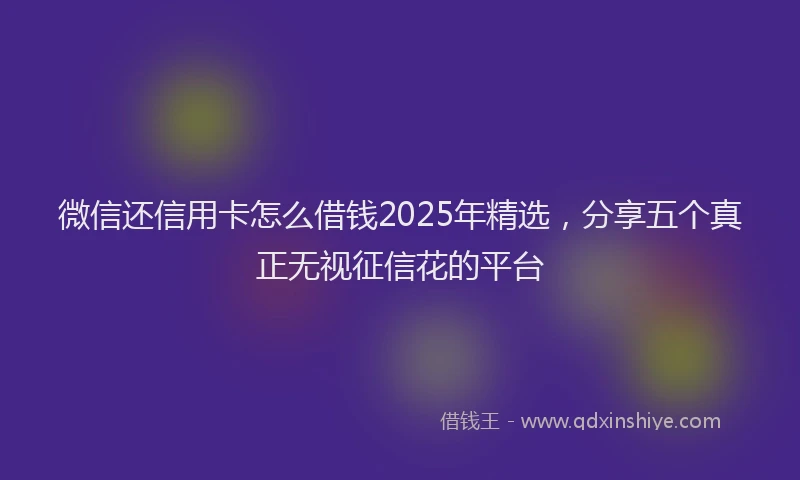 微信还信用卡怎么借钱2025年精选，分享五个真正无视征信花的平台
