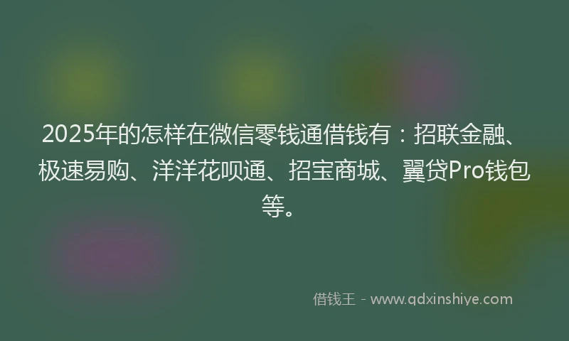 2025年的怎样在微信零钱通借钱有：招联金融、极速易购、洋洋花呗通、招宝商城、翼贷Pro钱包等。