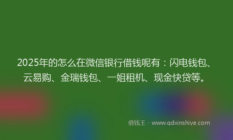 2025年的怎么在微信银行借钱呢有：闪电钱包、云易购、金瑞钱包、一姐租机、现金快贷等。