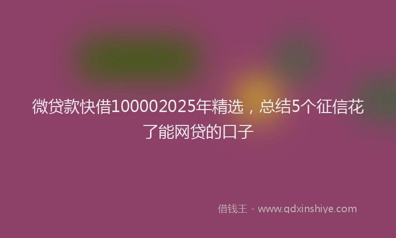 微贷款快借100002025年精选，总结5个征信花了能网贷的口子