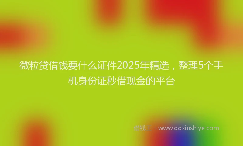 微粒贷借钱要什么证件2025年精选，整理5个手机身份证秒借现金的平台