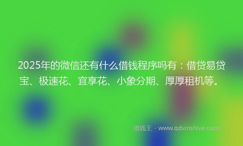 2025年的微信还有什么借钱程序吗有：借贷易贷宝、极速花、宜享花、小象分期、厚厚租机等。