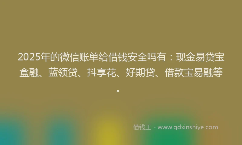 2025年的微信账单给借钱安全吗有：现金易贷宝盒融、蓝领贷、抖享花、好期贷、借款宝易融等。