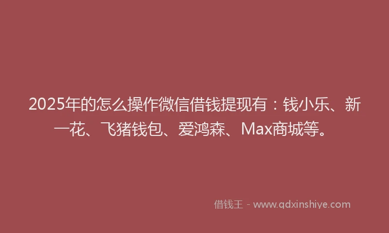 2025年的怎么操作微信借钱提现有：钱小乐、新一花、飞猪钱包、爱鸿森、Max商城等。