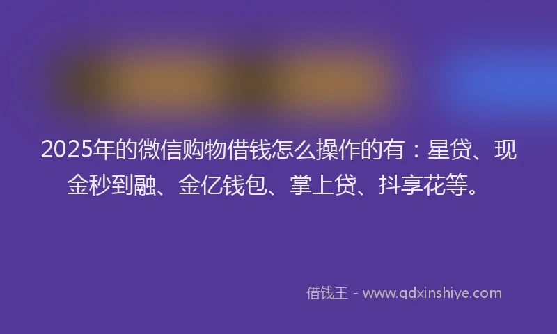 2025年的微信购物借钱怎么操作的有：星贷、现金秒到融、金亿钱包、掌上贷、抖享花等。