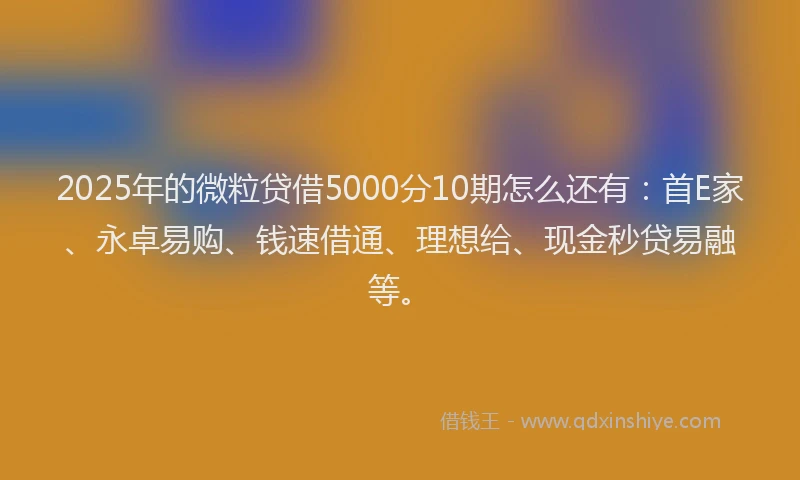 2025年的微粒贷借5000分10期怎么还有：首E家、永卓易购、钱速借通、理想给、现金秒贷易融等。