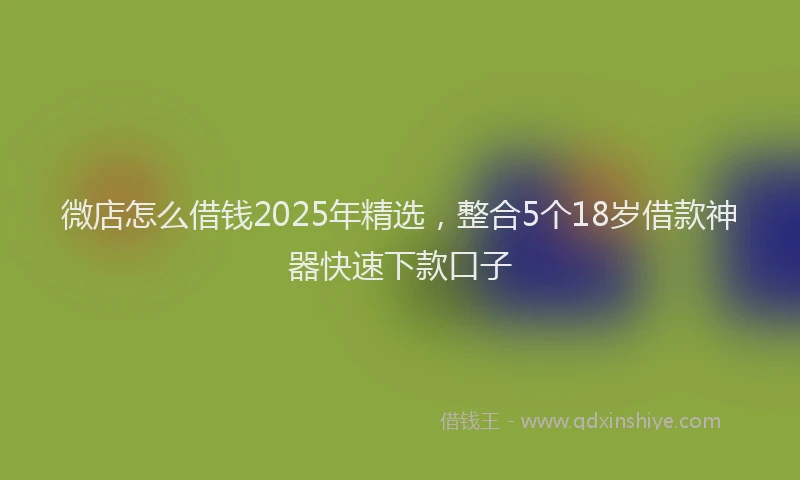 微店怎么借钱2025年精选，整合5个18岁借款神器快速下款口子