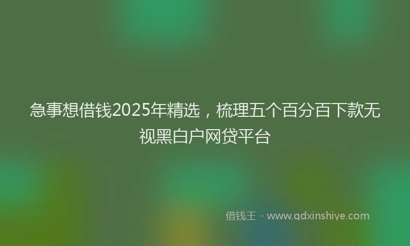 急事想借钱2025年精选，梳理五个百分百下款无视黑白户网贷平台