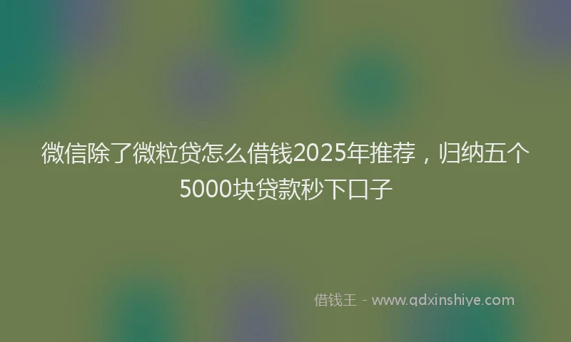 微信除了微粒贷怎么借钱2025年推荐，归纳五个5000块贷款秒下口子