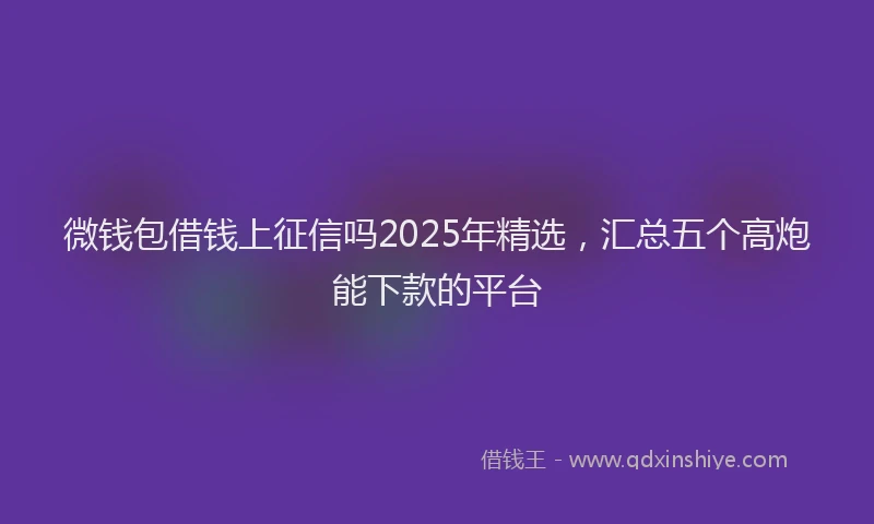 微钱包借钱上征信吗2025年精选，汇总五个高炮能下款的平台