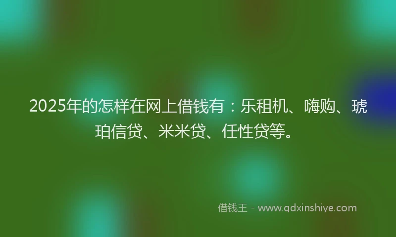 2025年的怎样在网上借钱有：乐租机、嗨购、琥珀信贷、米米贷、任性贷等。