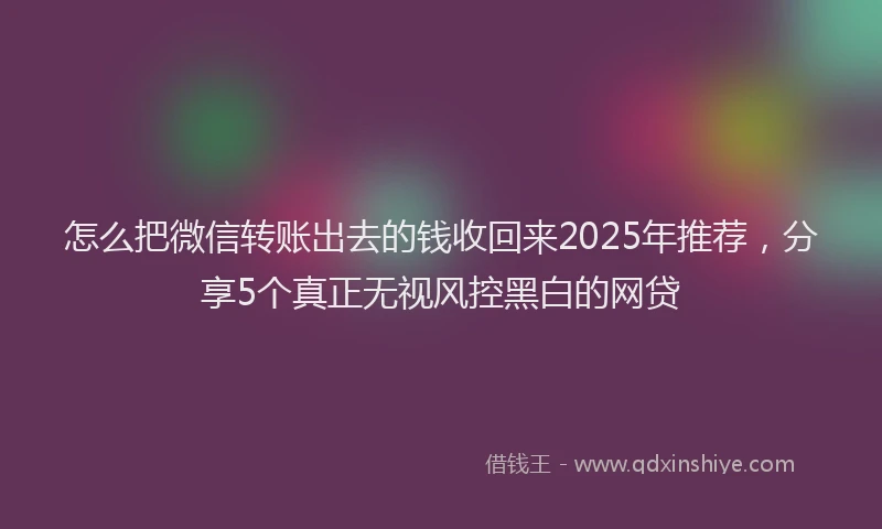 怎么把微信转账出去的钱收回来2025年推荐，分享5个真正无视风控黑白的网贷