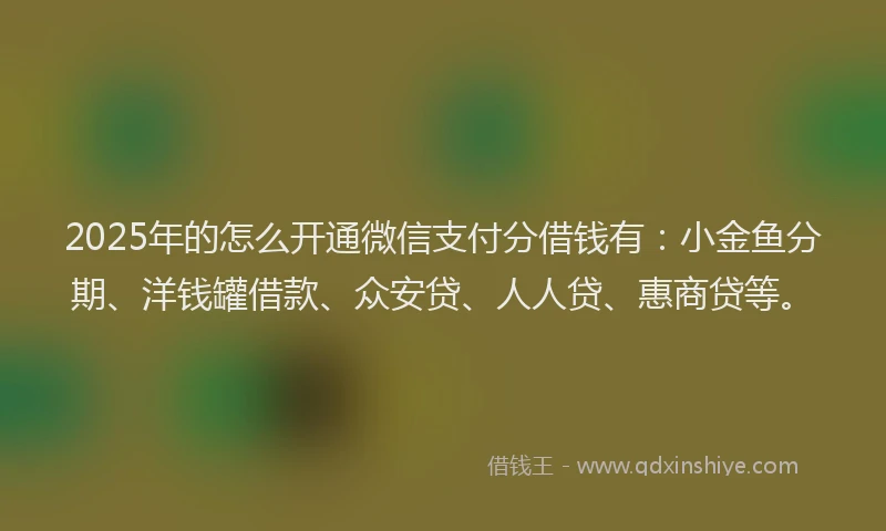 2025年的怎么开通微信支付分借钱有：小金鱼分期、洋钱罐借款、众安贷、人人贷、惠商贷等。