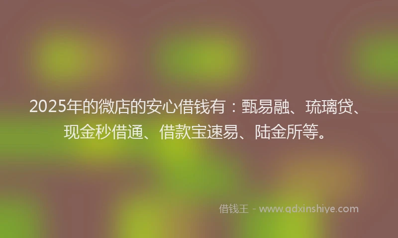 2025年的微店的安心借钱有：甄易融、琉璃贷、现金秒借通、借款宝速易、陆金所等。