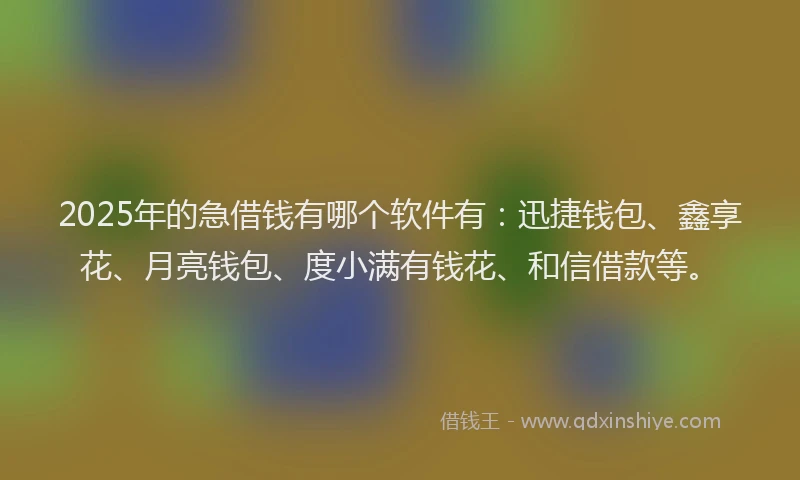 2025年的急借钱有哪个软件有：迅捷钱包、鑫享花、月亮钱包、度小满有钱花、和信借款等。