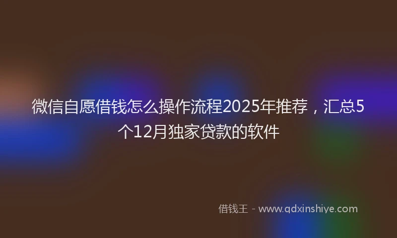 微信自愿借钱怎么操作流程2025年推荐，汇总5个12月独家贷款的软件