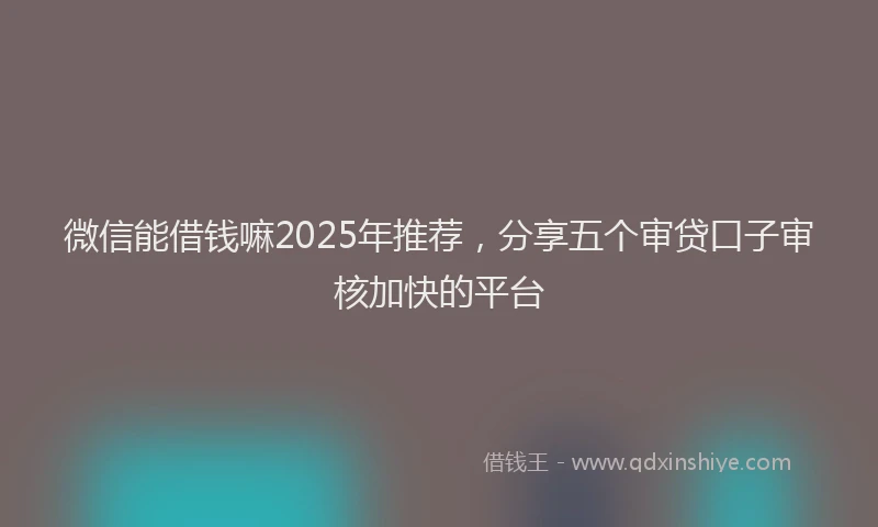 微信能借钱嘛2025年推荐，分享五个审贷口子审核加快的平台