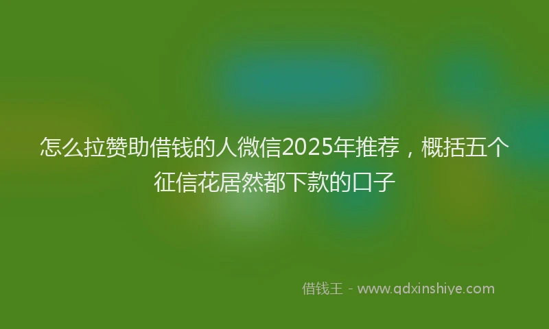 怎么拉赞助借钱的人微信2025年推荐，概括五个征信花居然都下款的口子