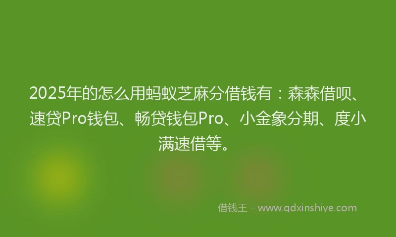 2025年的怎么用蚂蚁芝麻分借钱有：森森借呗、速贷Pro钱包、畅贷钱包Pro、小金象分期、度小满速借等。