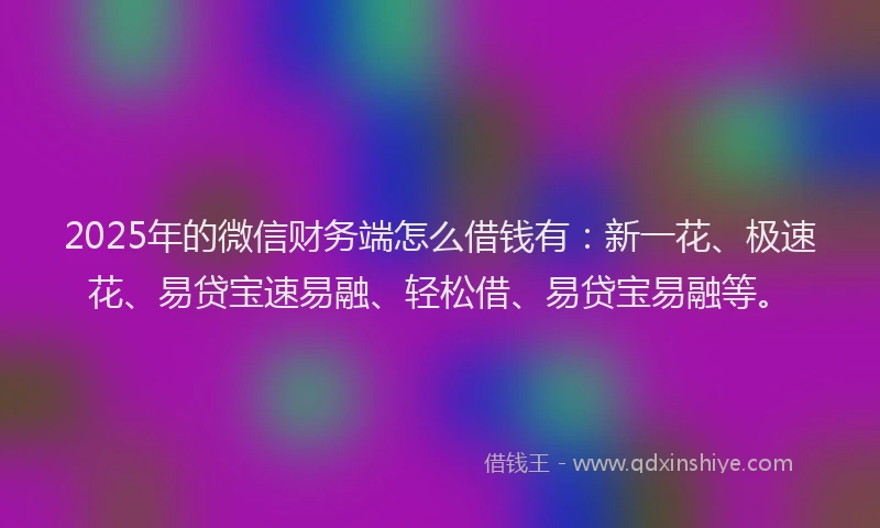 2025年的微信财务端怎么借钱有：新一花、极速花、易贷宝速易融、轻松借、易贷宝易融等。