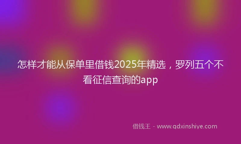 怎样才能从保单里借钱2025年精选，罗列五个不看征信查询的app