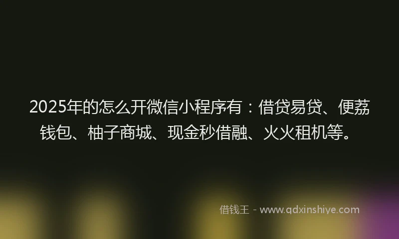 2025年的怎么开微信小程序有：借贷易贷、便荔钱包、柚子商城、现金秒借融、火火租机等。