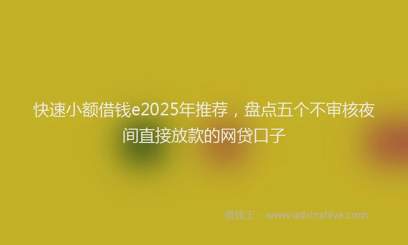 快速小额借钱e2025年推荐，盘点五个不审核夜间直接放款的网贷口子