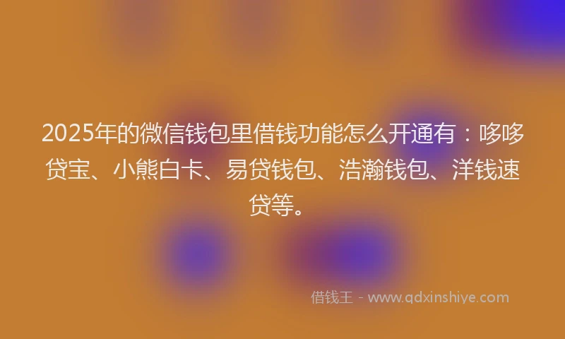 2025年的微信钱包里借钱功能怎么开通有：哆哆贷宝、小熊白卡、易贷钱包、浩瀚钱包、洋钱速贷等。