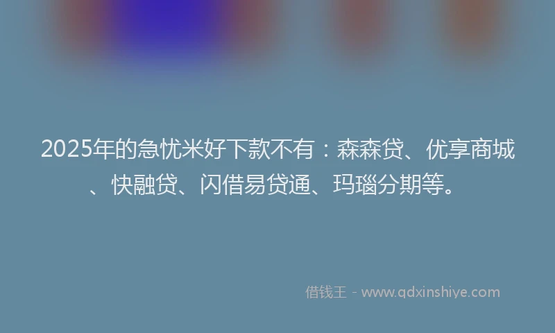 2025年的急忧米好下款不有：森森贷、优享商城、快融贷、闪借易贷通、玛瑙分期等。