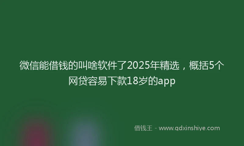 微信能借钱的叫啥软件了2025年精选，概括5个网贷容易下款18岁的app