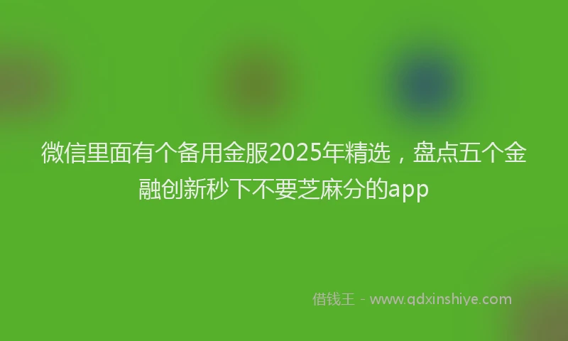 微信里面有个备用金服2025年精选，盘点五个金融创新秒下不要芝麻分的app