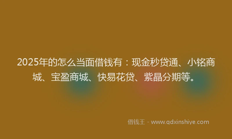 2025年的怎么当面借钱有：现金秒贷通、小铭商城、宝盈商城、快易花贷、紫晶分期等。