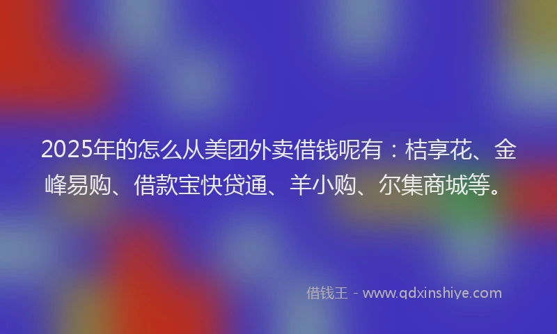 2025年的怎么从美团外卖借钱呢有：桔享花、金峰易购、借款宝快贷通、羊小购、尔集商城等。