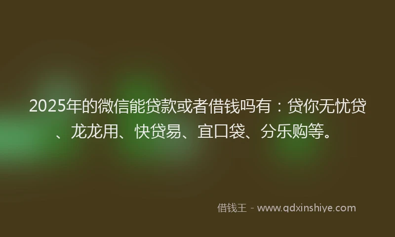 2025年的微信能贷款或者借钱吗有：贷你无忧贷、龙龙用、快贷易、宜口袋、分乐购等。
