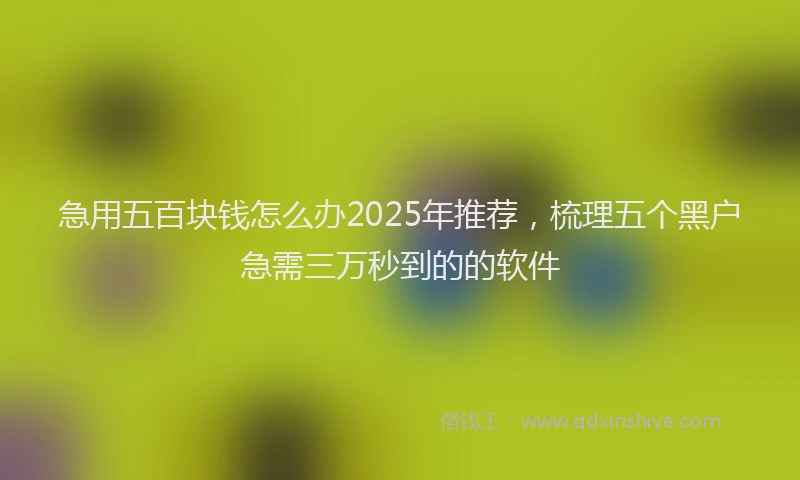 急用五百块钱怎么办2025年推荐，梳理五个黑户急需三万秒到的的软件