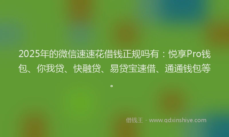 2025年的微信速速花借钱正规吗有：悦享Pro钱包、你我贷、快融贷、易贷宝速借、通通钱包等。
