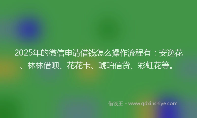 2025年的微信申请借钱怎么操作流程有：安逸花、林林借呗、花花卡、琥珀信贷、彩虹花等。