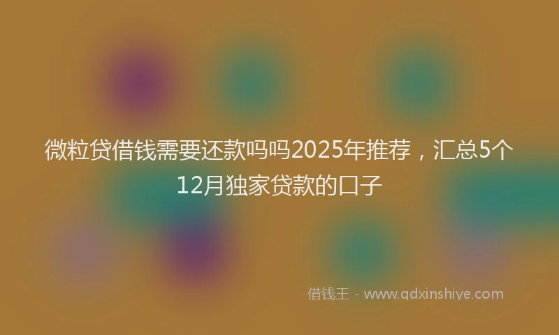 微粒贷借钱需要还款吗吗2025年推荐，汇总5个12月独家贷款的口子