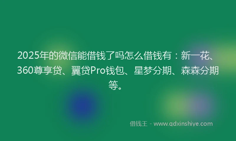 2025年的微信能借钱了吗怎么借钱有：新一花、360尊享贷、翼贷Pro钱包、星梦分期、森森分期等。