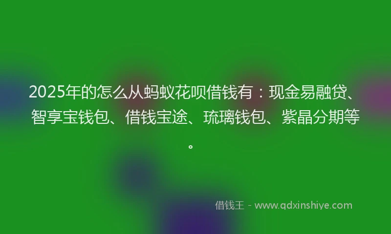 2025年的怎么从蚂蚁花呗借钱有：现金易融贷、智享宝钱包、借钱宝途、琉璃钱包、紫晶分期等。