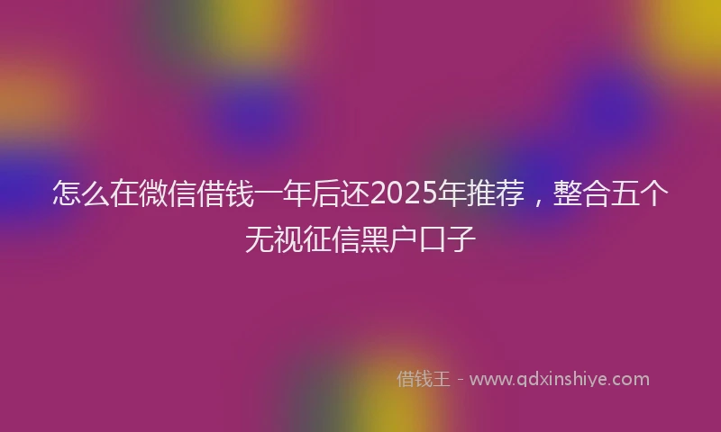 怎么在微信借钱一年后还2025年推荐，整合五个无视征信黑户口子