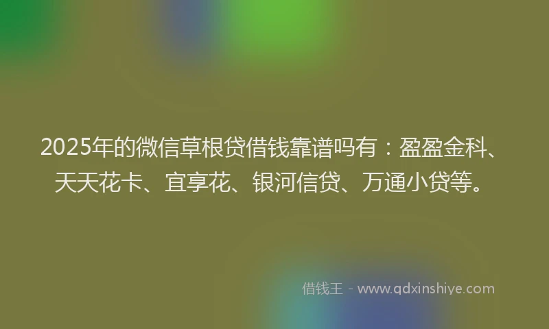 2025年的微信草根贷借钱靠谱吗有：盈盈金科、天天花卡、宜享花、银河信贷、万通小贷等。