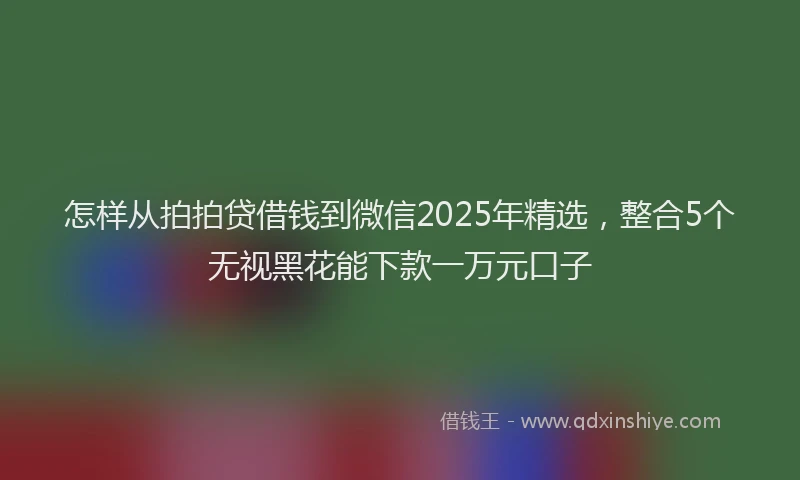 怎样从拍拍贷借钱到微信2025年精选，整合5个无视黑花能下款一万元口子