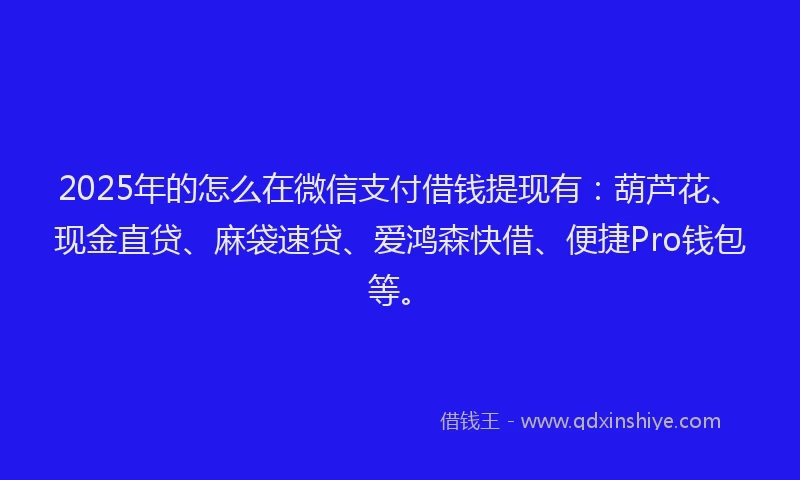 2025年的怎么在微信支付借钱提现有：葫芦花、现金直贷、麻袋速贷、爱鸿森快借、便捷Pro钱包等。